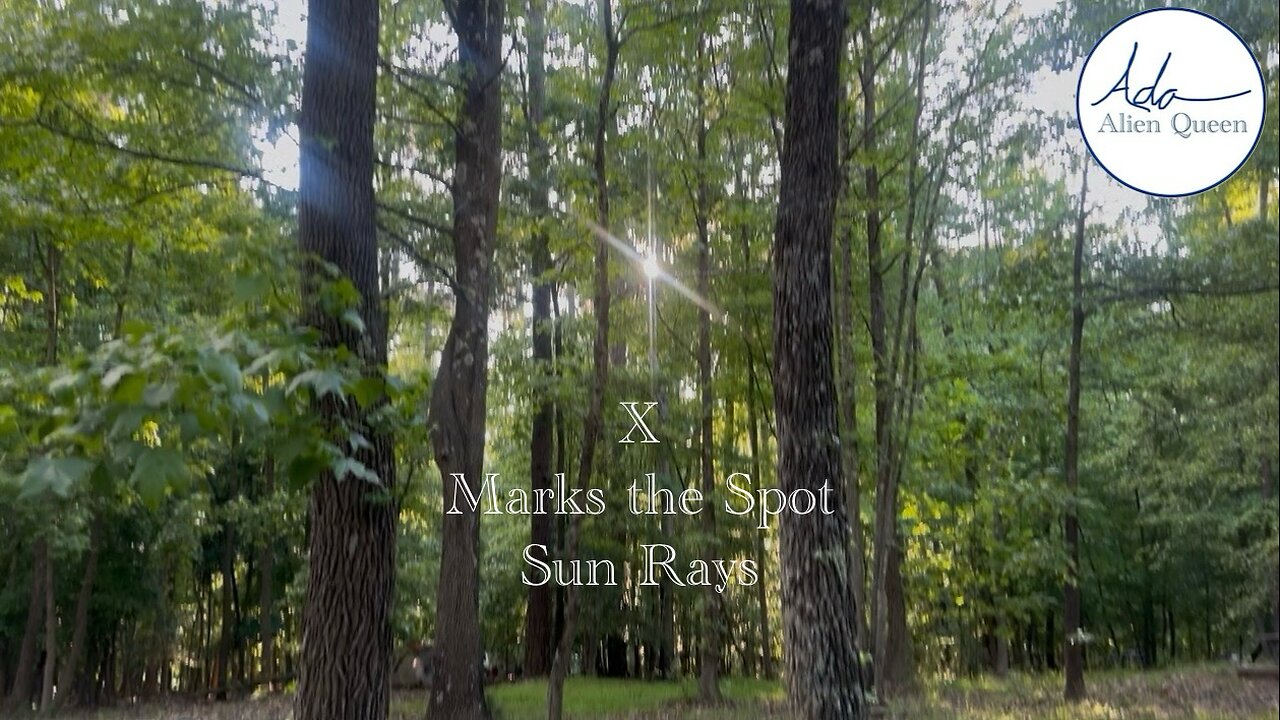 Ada Alien Queen • Ada Walks • Take # 00020 • X Marks the Spot Sun Rays