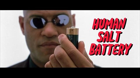 "Exploring the Power of Human Salt Battery: An Insight into KILLUMINATI13420"
