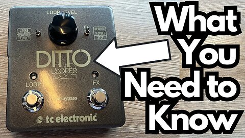 What I Like (And Don't Like) About the TCE Ditto X2...