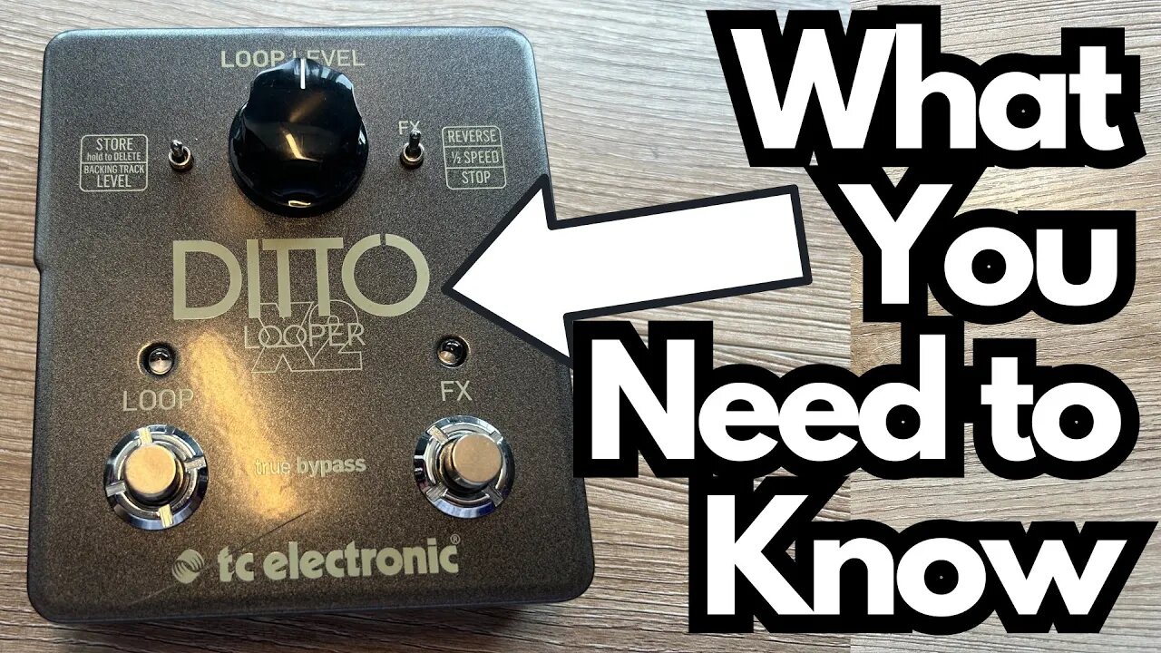What I Like (And Don't Like) About the TCE Ditto X2...