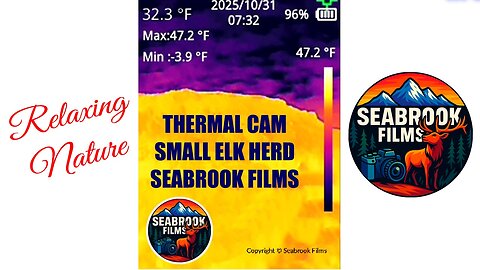 Thermal Cam: Small Elk Herd