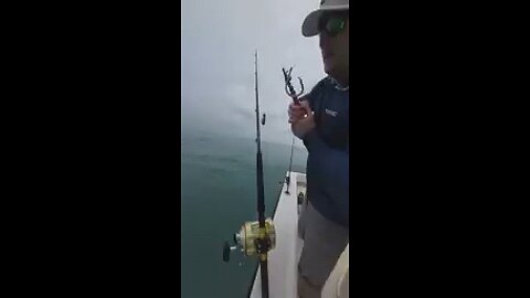 big bait