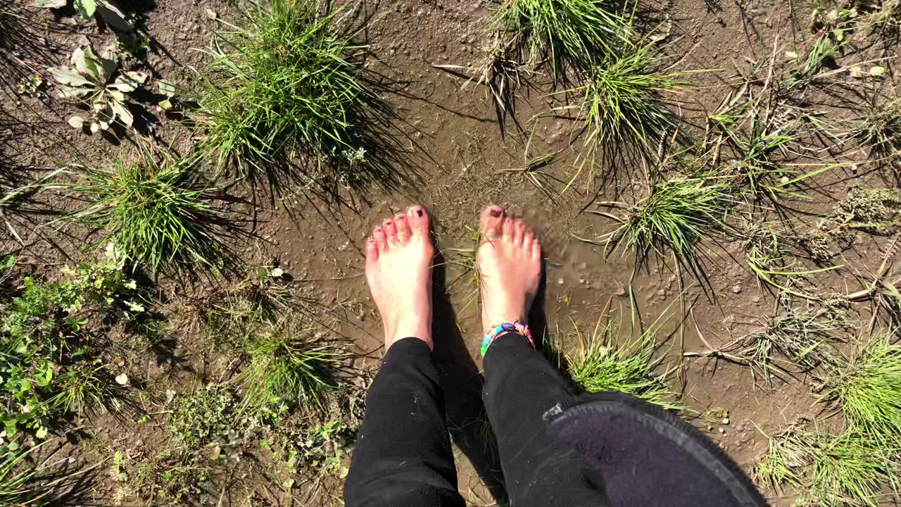 Mr Nature on the ladder