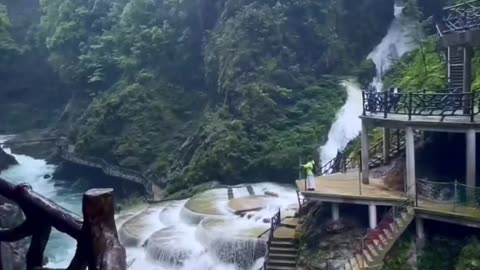 Peaceful Outdoor Views 🌳 Stunning Nature Scenes 🐦🌺 Amazing Nature Views 🍃 #Shorts