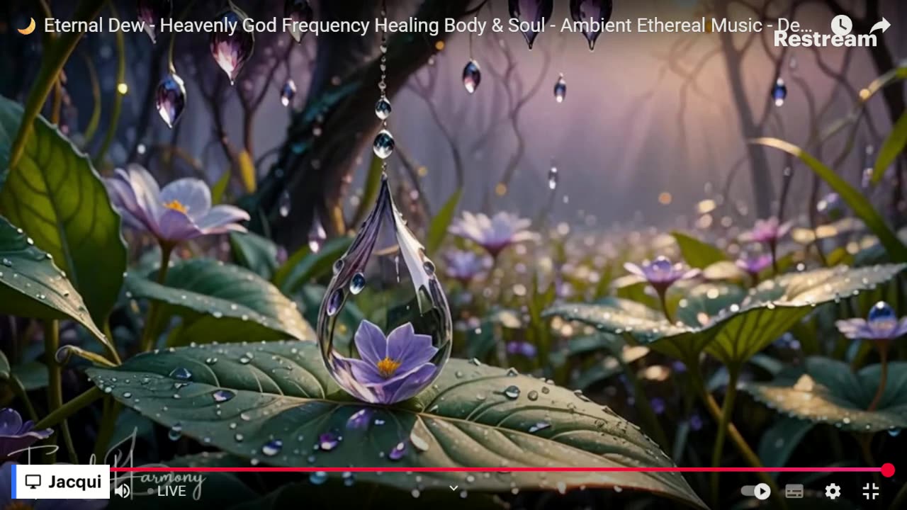 Live with Restream, August 04