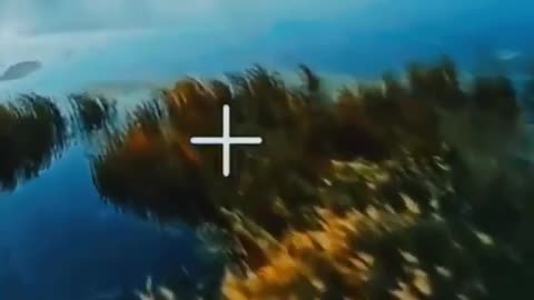 🔴🛸 Ukraine Russia War | RU POV: Fiber-Optic Drone Hits Two Ukrainian Armored Vehicles | RCF