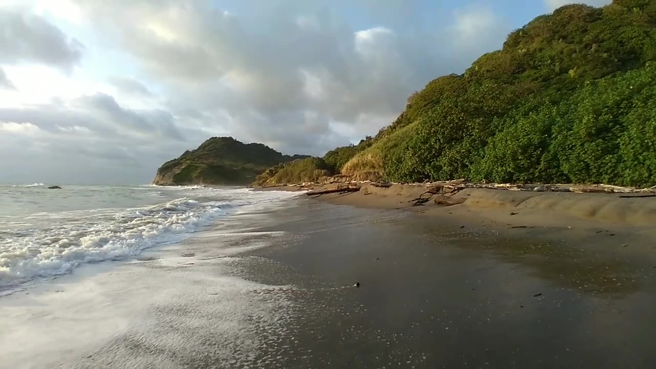 Wild Pacific beaxh trips are always good...