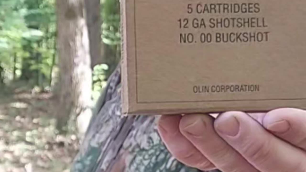 Comparing 00 buckshot loads