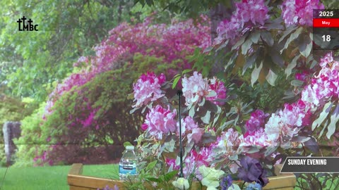 18 May 2025 Sunday Evening Service