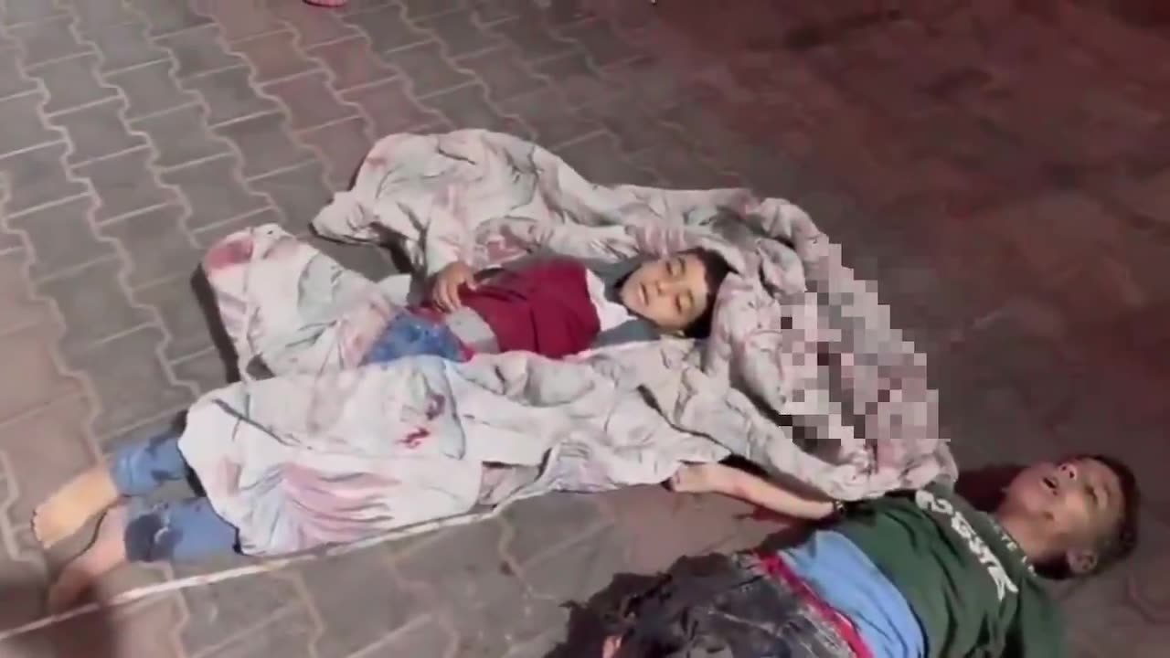 Sabra in Gaza