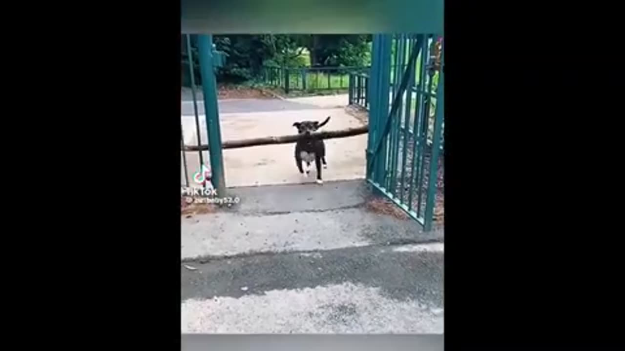 Need a laugh here and there ;)