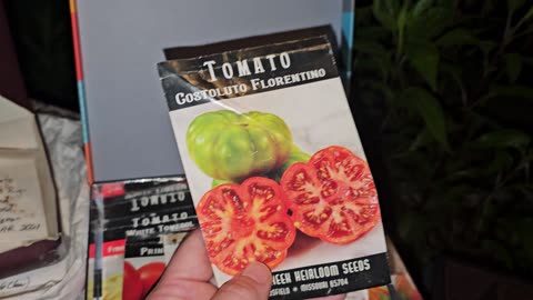 Ben's Late Starts for the Fall Tomato Garden