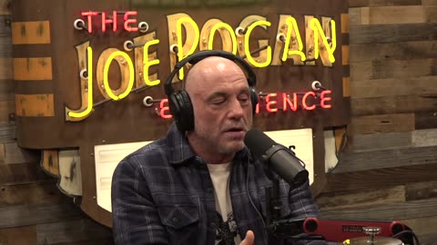 Family Friendly Joe Rogan Experience #2430 - Jay Anderson