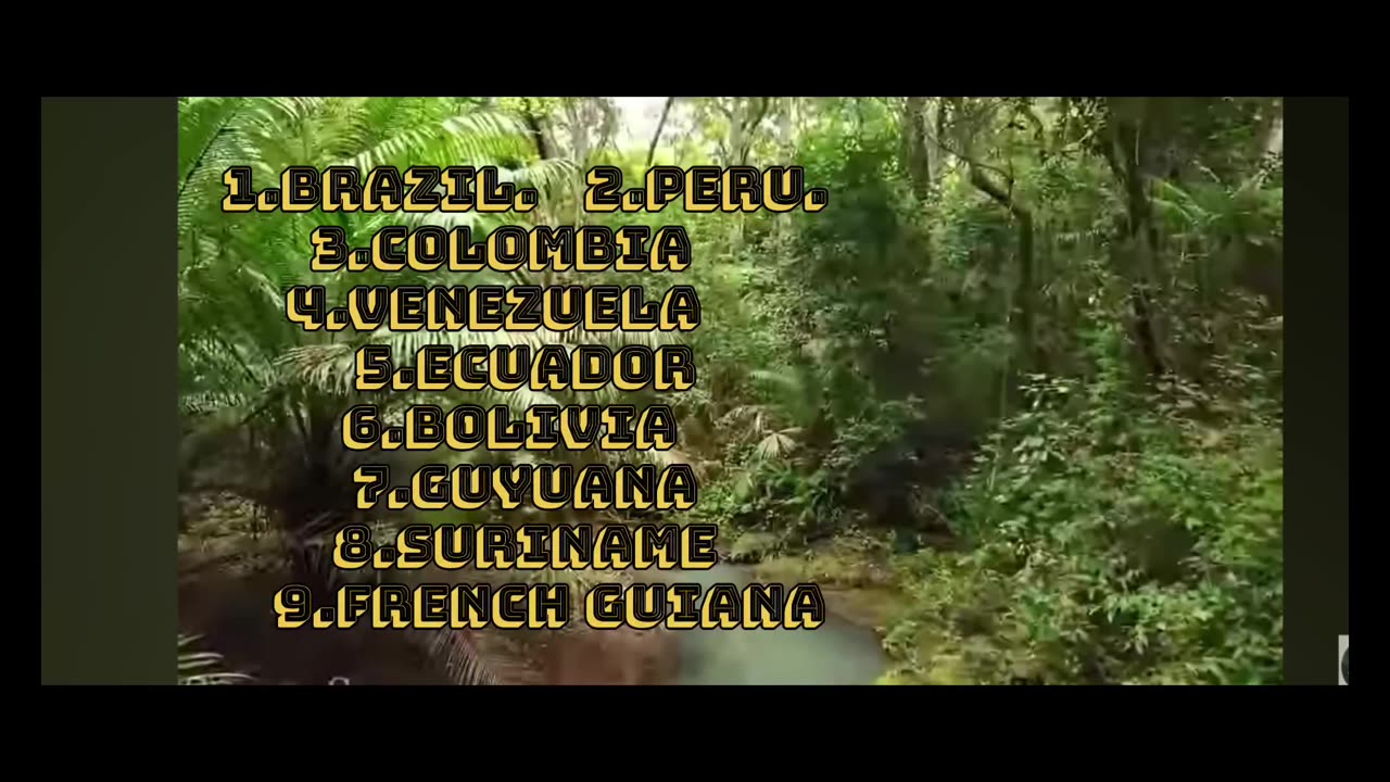 The lungs of the earth