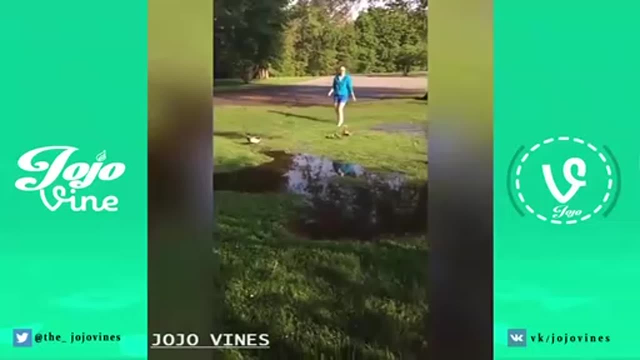 Funny video of the year