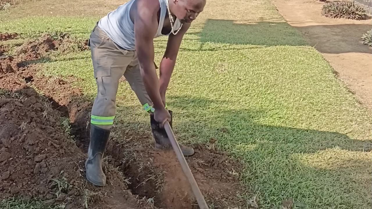 THE HUSTLE OF THE MAN