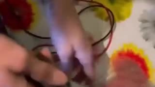 Ludzie są sami w sobie bioelektrycznymi istotami i dlatego w żadnym wypadku nie powinni unikać diety roślinnej.