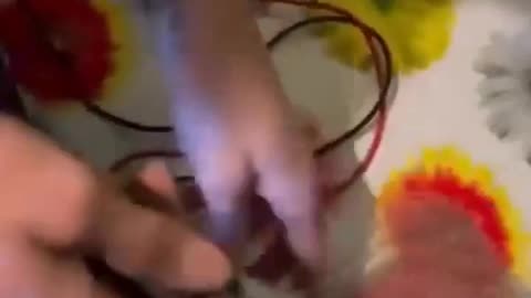 Ludzie są sami w sobie bioelektrycznymi istotami i dlatego w żadnym wypadku nie powinni unikać diety roślinnej.