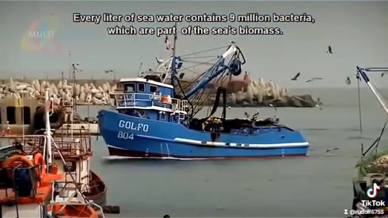 Agua de Mar, no se contamina con nada