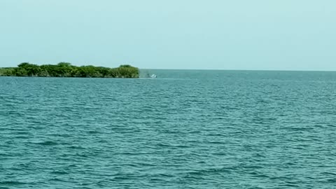 The fishing pier at Fort Island trail