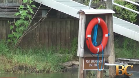 Alligator kills woman in Florida after tipping over her canoe