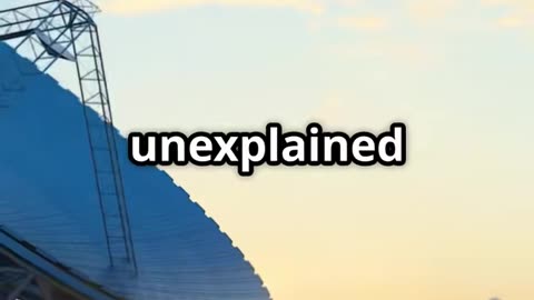 They didn’t want you to know this…