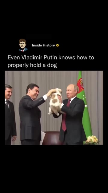 Politics - Archive 2017 The Big Mean Russia Vladimir Putin Shows The World How To Hold A Dog
