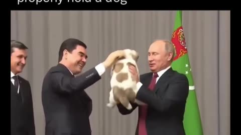 Politics - Archive 2017 The Big Mean Russia Vladimir Putin Shows The World How To Hold A Dog