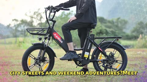 KAISDA K201 Electric Bike 250W Motor 36V 10.4Ah Battery 20 Inch Mountain Snow Electric Bike