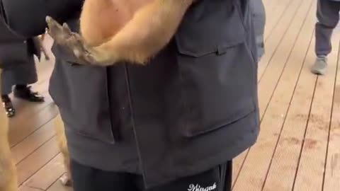 Cute little guy 🤩