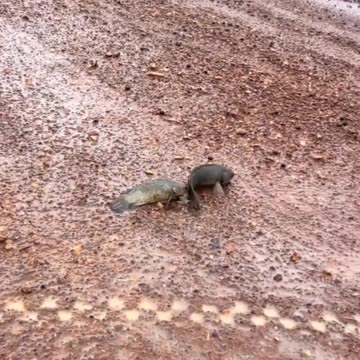 Home sweet home 😘