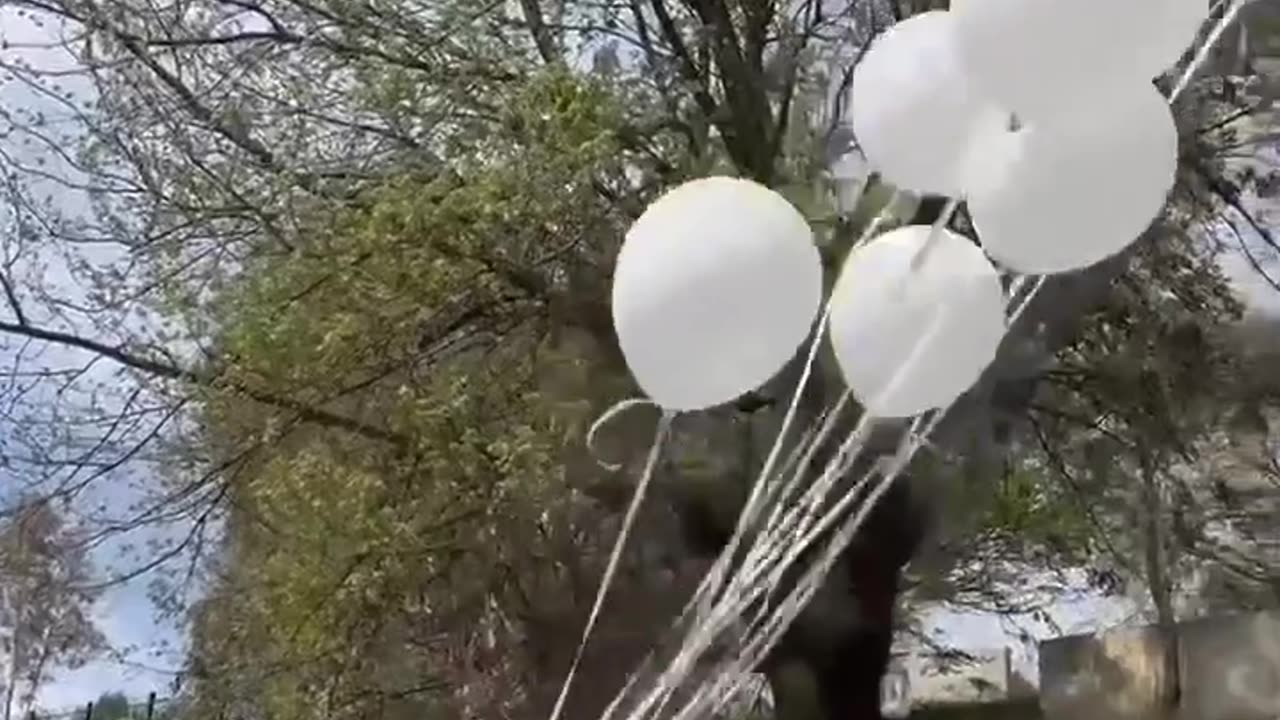 Pamjet
