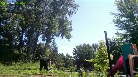 Yard Work