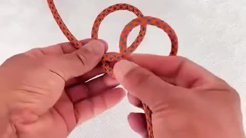 What Kind Of Knot?