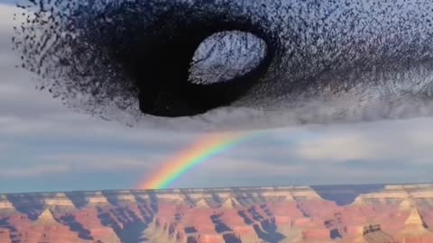 Grand Canyon National Park in Arizona 😲😳🤔