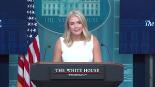Karoline Leavitt Shreds NYT Reporter To His Face Over Question About Trump, Putin