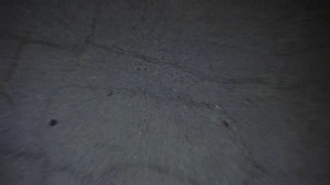 Road out in Borrego! First ever recorded by the Wendi bnkywuv primate! Last seen 16 years ago!