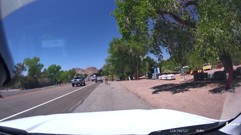 Beatty, NV - Burro - Intentionally hit by Ford F150 - Front Camera