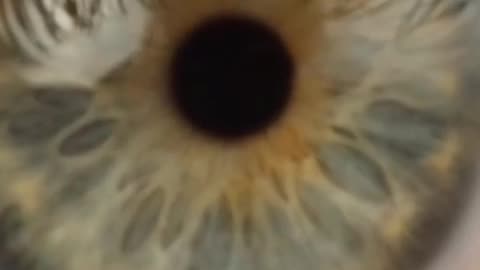 Dark Circles No More: Natural Ways to Brighten Your Eyes