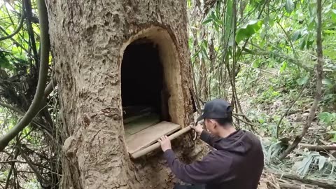 I Built a Hidden Forest Shelter Inside a Giant Tree Solo Survival Build