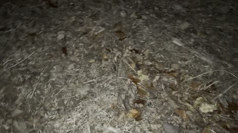 In the dark really...