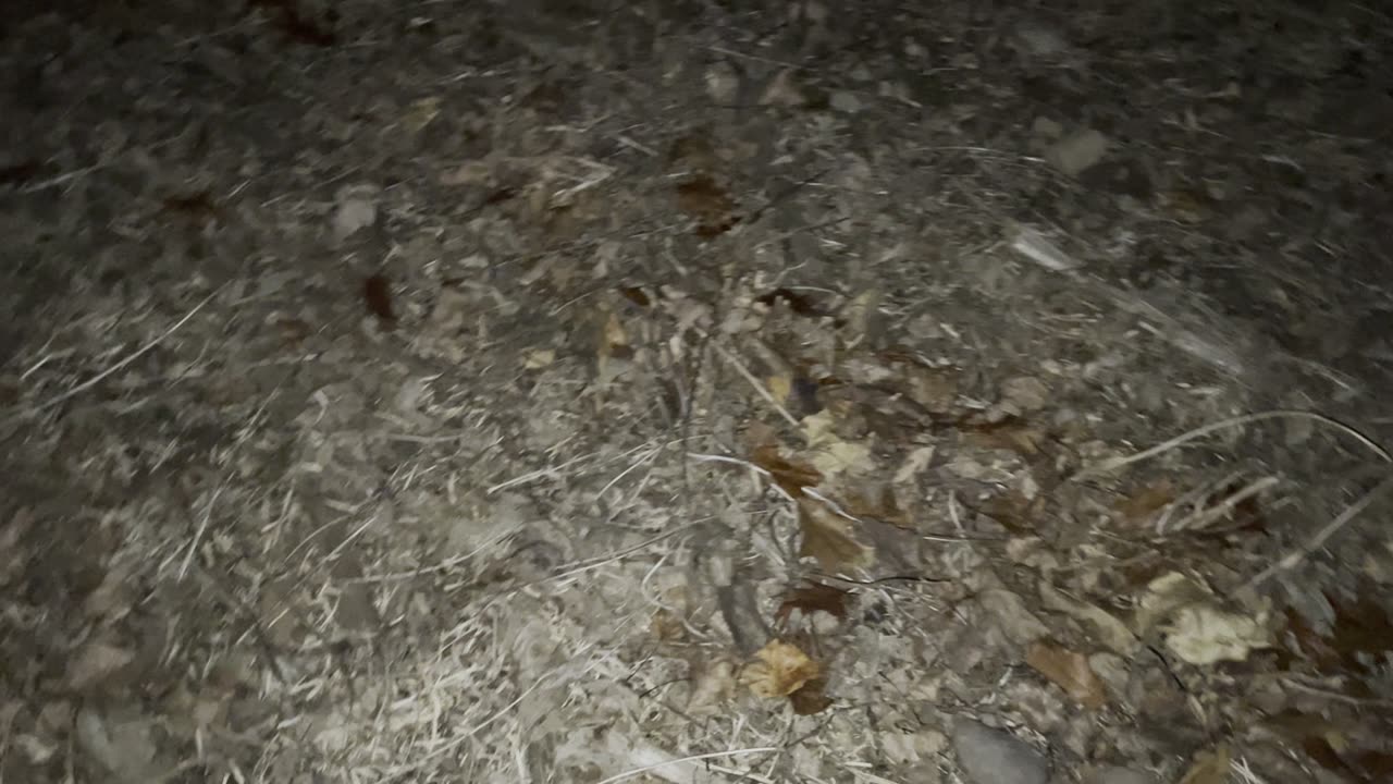 In the dark really...