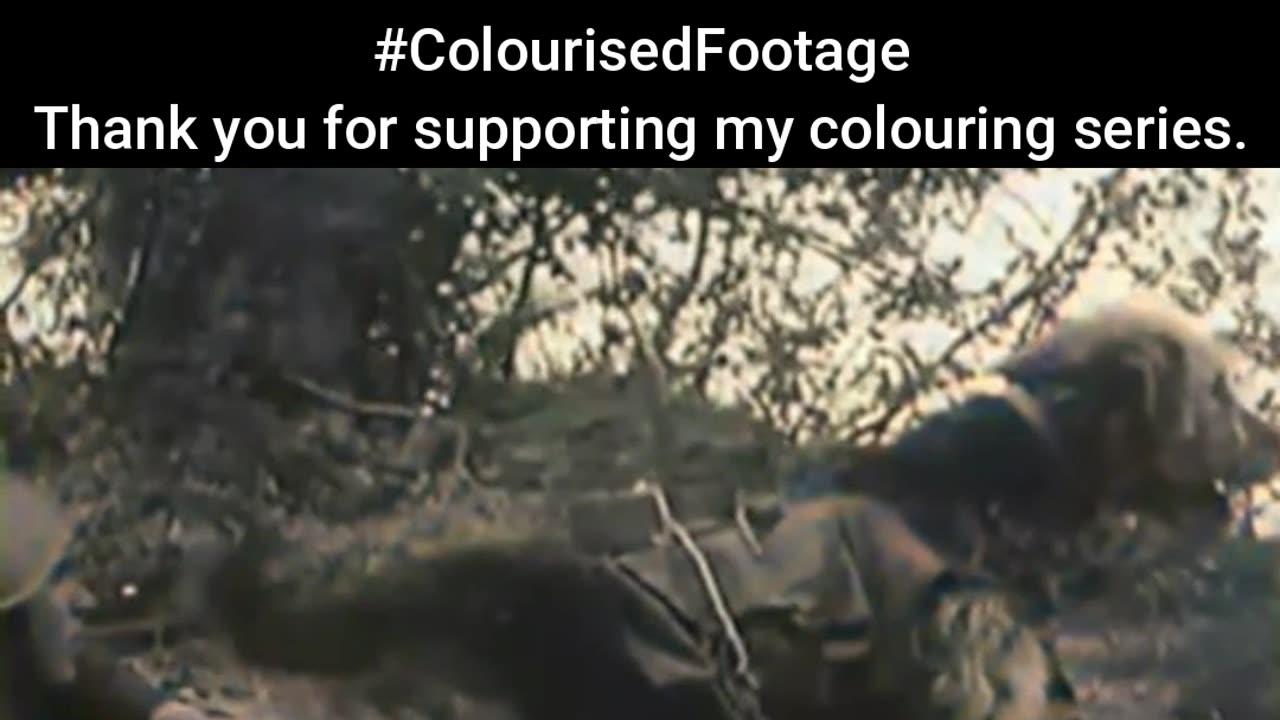 Soviet Anti-Tank Dogs — Unseen Heroes in Battle #ColourisedHistory-1