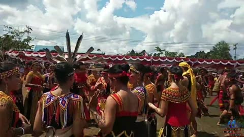 TARIAN DAYAK || Kalimantan Tarian Kesenian