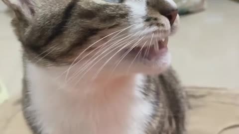 A shocked expression