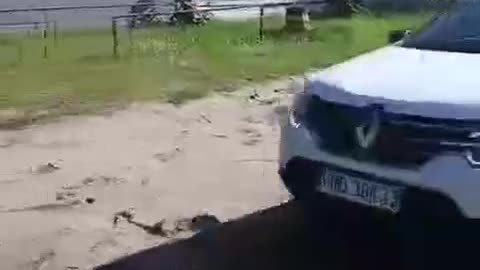 Ukrainian volunteers