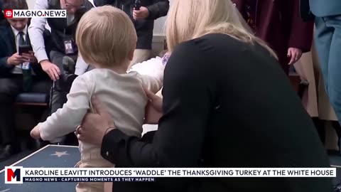 Karoline Leavitt Introduces 'Waddle' the Thanksgiving 🦃 Turkey in The White House Press Room