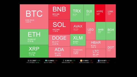 Live Coin Price Watch!