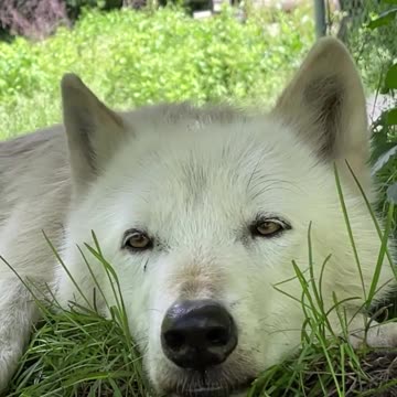 VERY CALM AND SERENE