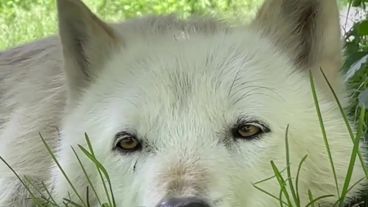 VERY CALM AND SERENE